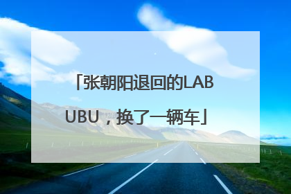 张朝阳退回的LABUBU，换了一辆车