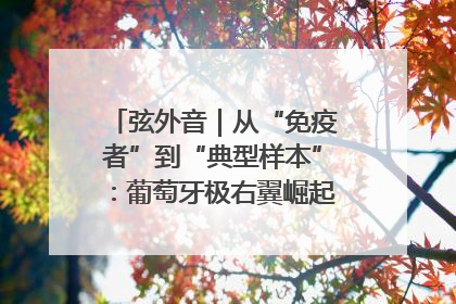 弦外音｜从“免疫者”到“典型样本”：葡萄牙极右翼崛起背后的欧洲困局