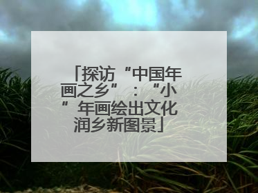 探访“中国年画之乡”：“小”年画绘出文化润乡新图景