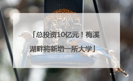 总投资10亿元！梅溪湖畔将新增一所大学