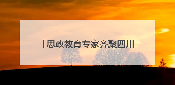 思政教育专家齐聚四川大学锦江学院共研大中小学思政教育一体化