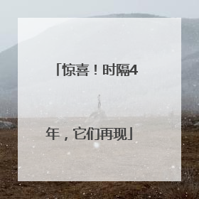 惊喜！时隔4年，它们再现