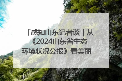 感知山东记者谈｜从《2024山东省生态环境状况公报》看美丽山东建设的“成绩单”与“任务书”