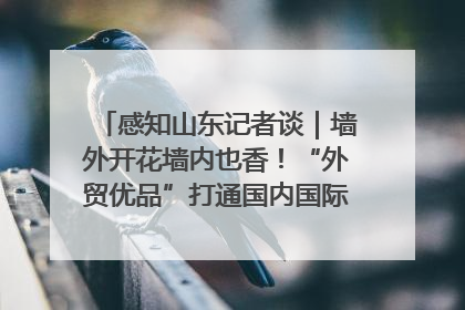 感知山东记者谈｜墙外开花墙内也香！“外贸优品”打通国内国际市场“旋转门”