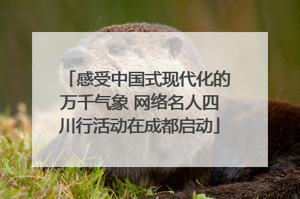 感受中国式现代化的万千气象 网络名人四川行活动在成都启动