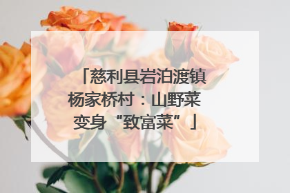 慈利县岩泊渡镇杨家桥村：山野菜变身“致富菜”
