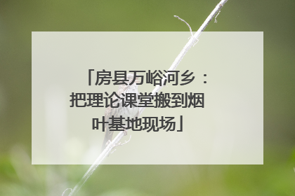 房县万峪河乡：把理论课堂搬到烟叶基地现场