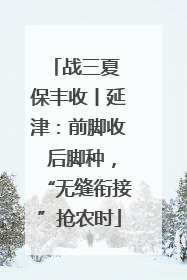 战三夏 保丰收丨延津：前脚收 后脚种，“无缝衔接”抢农时