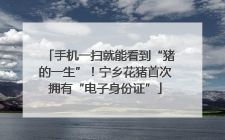 手机一扫就能看到“猪的一生”！宁乡花猪首次拥有“电子身份证”