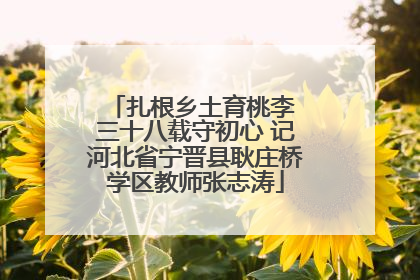 扎根乡土育桃李 三十八载守初心 记河北省宁晋县耿庄桥学区教师张志涛