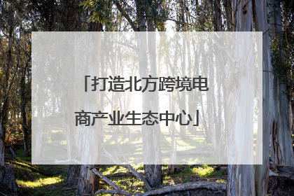 打造北方跨境电商产业生态中心