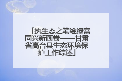执生态之笔绘绿富同兴新画卷——甘肃省高台县生态环境保护工作综述
