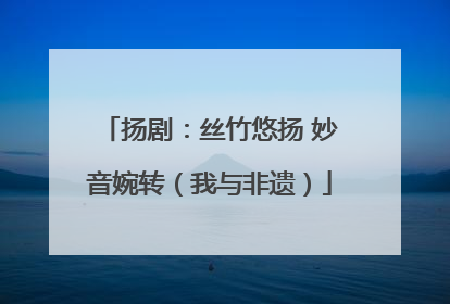 扬剧：丝竹悠扬 妙音婉转（我与非遗）