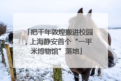 把千年敦煌搬进校园，上海静安首个“一平米博物馆”落地