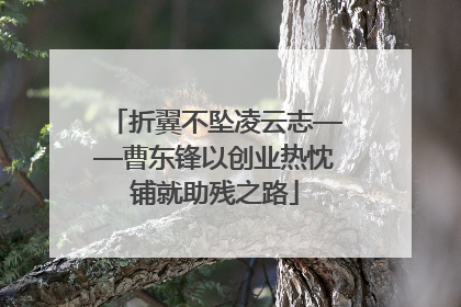 折翼不坠凌云志——曹东锋以创业热忱铺就助残之路