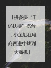 拼多多“千亿扶持”搭台，小鱼缸在电商西进中找到大商机