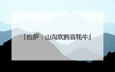 拉萨：山沟欢腾赛牦牛