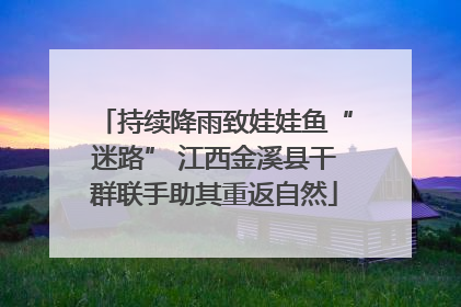 持续降雨致娃娃鱼“迷路” 江西金溪县干群联手助其重返自然