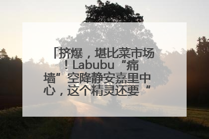 挤爆，堪比菜市场！Labubu“痛墙”空降静安嘉里中心，这个精灵还要“突袭”便利店？
