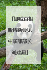 挪威首相斯特勒会见中联部部长刘建超