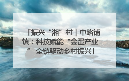 振兴“湘”村｜中路铺镇：科技赋能“金蛋产业” 全链驱动乡村振兴