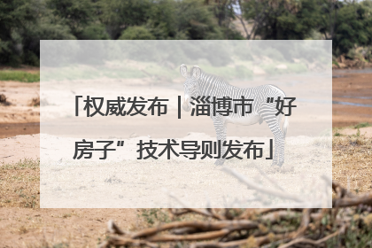 权威发布｜淄博市“好房子”技术导则发布