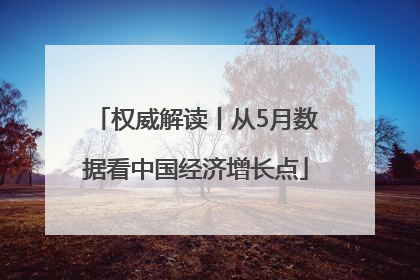 权威解读丨从5月数据看中国经济增长点