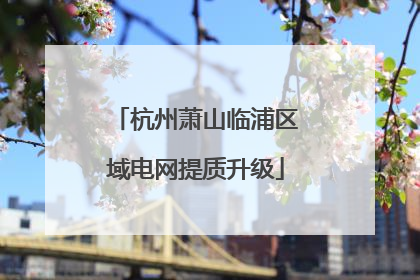 杭州萧山临浦区域电网提质升级