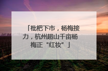 枇杷下市，杨梅接力，杭州超山千亩杨梅正“红妆”