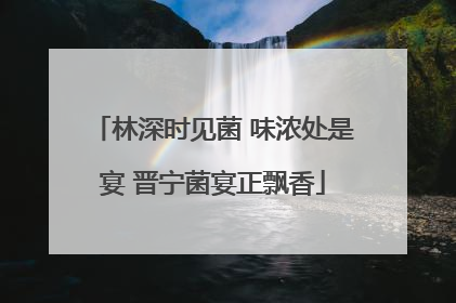林深时见菌 味浓处是宴 晋宁菌宴正飘香
