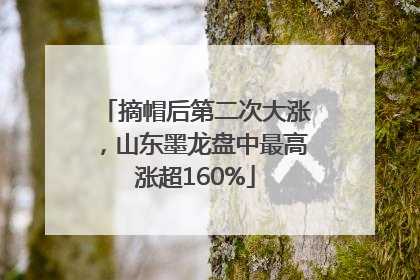 摘帽后第二次大涨，山东墨龙盘中最高涨超160%