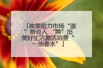 政策给力市场“涨”势喜人 “焕”出美好生活激活消费“一池春水”