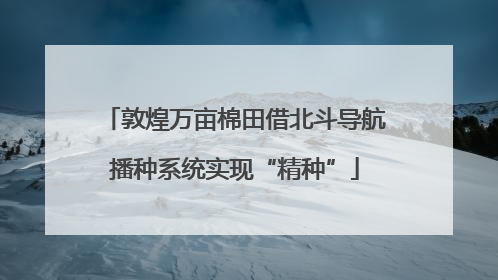 敦煌万亩棉田借北斗导航播种系统实现“精种”