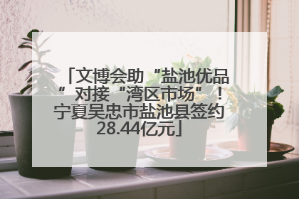 文博会助“盐池优品”对接“湾区市场”！宁夏吴忠市盐池县签约28.44亿元