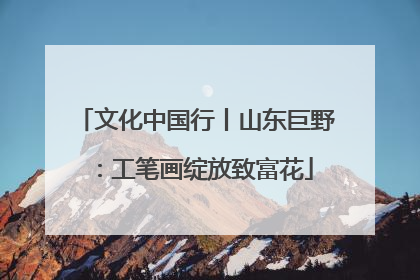 文化中国行丨山东巨野：工笔画绽放致富花