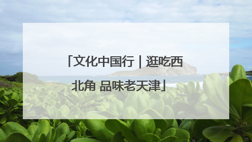 文化中国行｜逛吃西北角 品味老天津