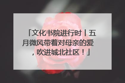 文化书院进行时丨五月微风带着对母亲的爱，吹进城北社区！