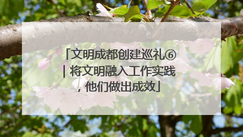 文明成都创建巡礼⑥｜将文明融入工作实践，他们做出成效