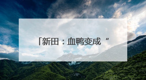 新田：血鸭变成“致富鸭” 预制菜撬动“舌尖经济”