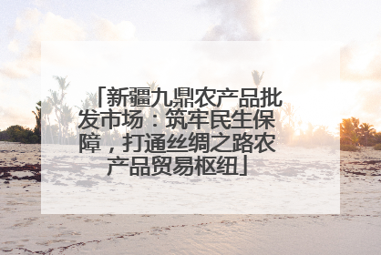 新疆九鼎农产品批发市场：筑牢民生保障，打通丝绸之路农产品贸易枢纽