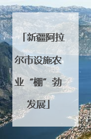新疆阿拉尔市设施农业“棚”勃发展