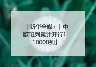 新华全媒+｜中欧班列累计开行110000列