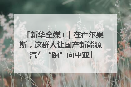 新华全媒+｜在霍尔果斯，这群人让国产新能源汽车“跑”向中亚