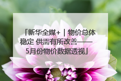 新华全媒+｜物价总体稳定 供需有所改善——5月份物价数据透视