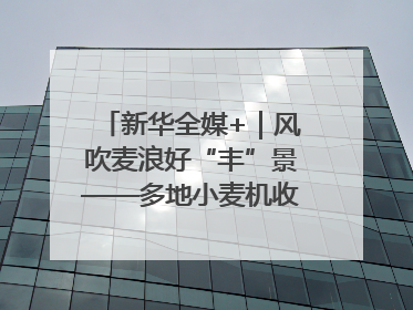 新华全媒+｜风吹麦浪好“丰”景——多地小麦机收一线见闻
