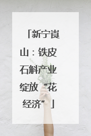 新宁崀山：铁皮石斛产业绽放“花经济”