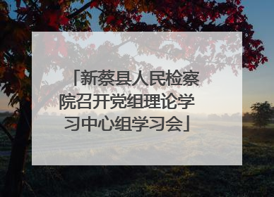 新蔡县人民检察院召开党组理论学习中心组学习会