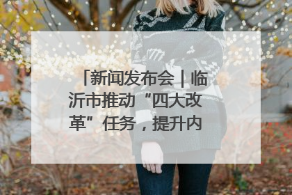 新闻发布会｜临沂市推动“四大改革”任务，提升内部审计监督效能
