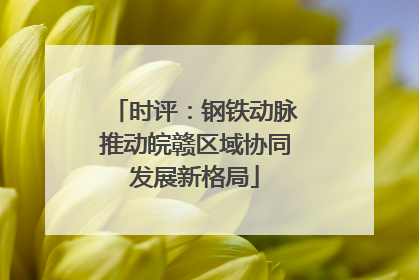 时评：钢铁动脉推动皖赣区域协同发展新格局