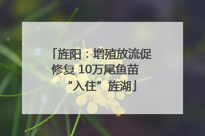 旌阳：增殖放流促修复 10万尾鱼苗“入住”旌湖